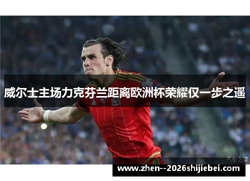 威尔士主场力克芬兰距离欧洲杯荣耀仅一步之遥 威尔士主场力克芬兰距离欧洲杯荣耀仅一步之遥